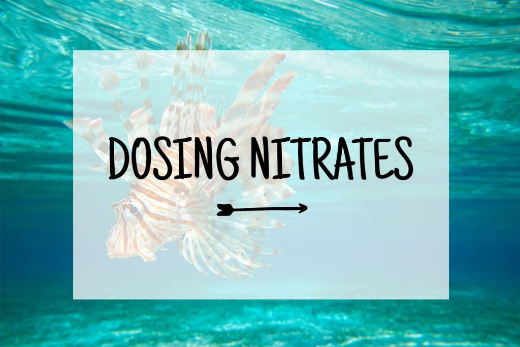 Dosing Nitrates in a Saltwater Aquarium