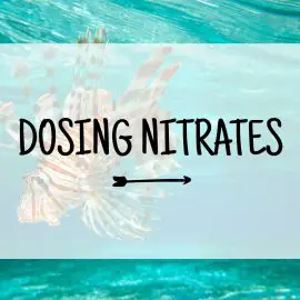 Dosing Nitrates in a Saltwater Aquarium