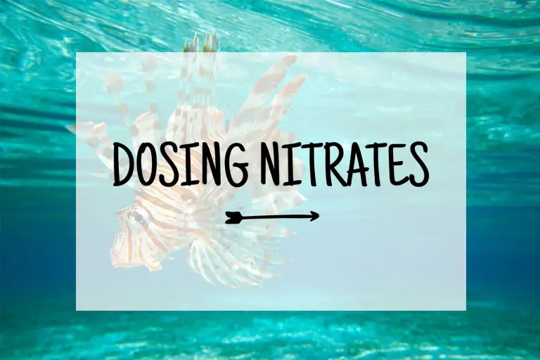 Dosing Nitrates in a Saltwater Aquarium