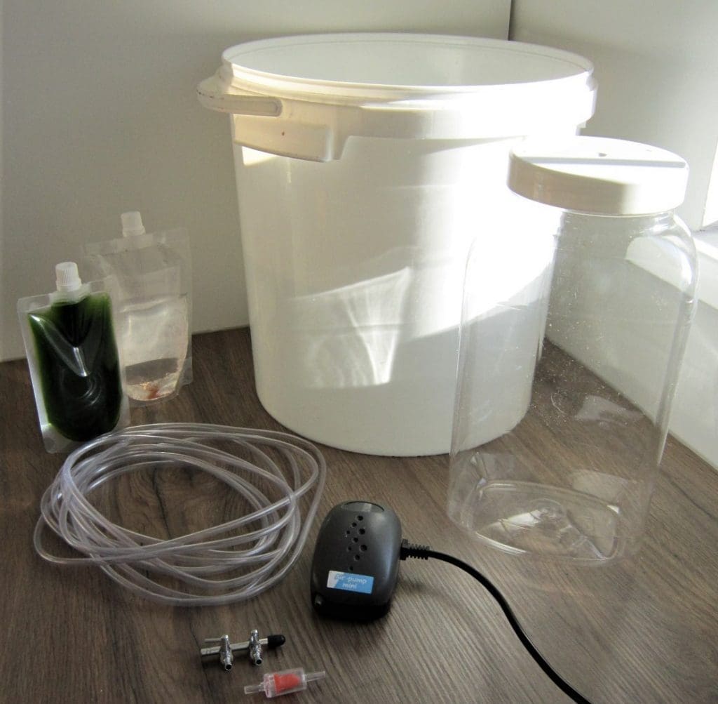 Copepod Breeding for Saltwater Aquariums