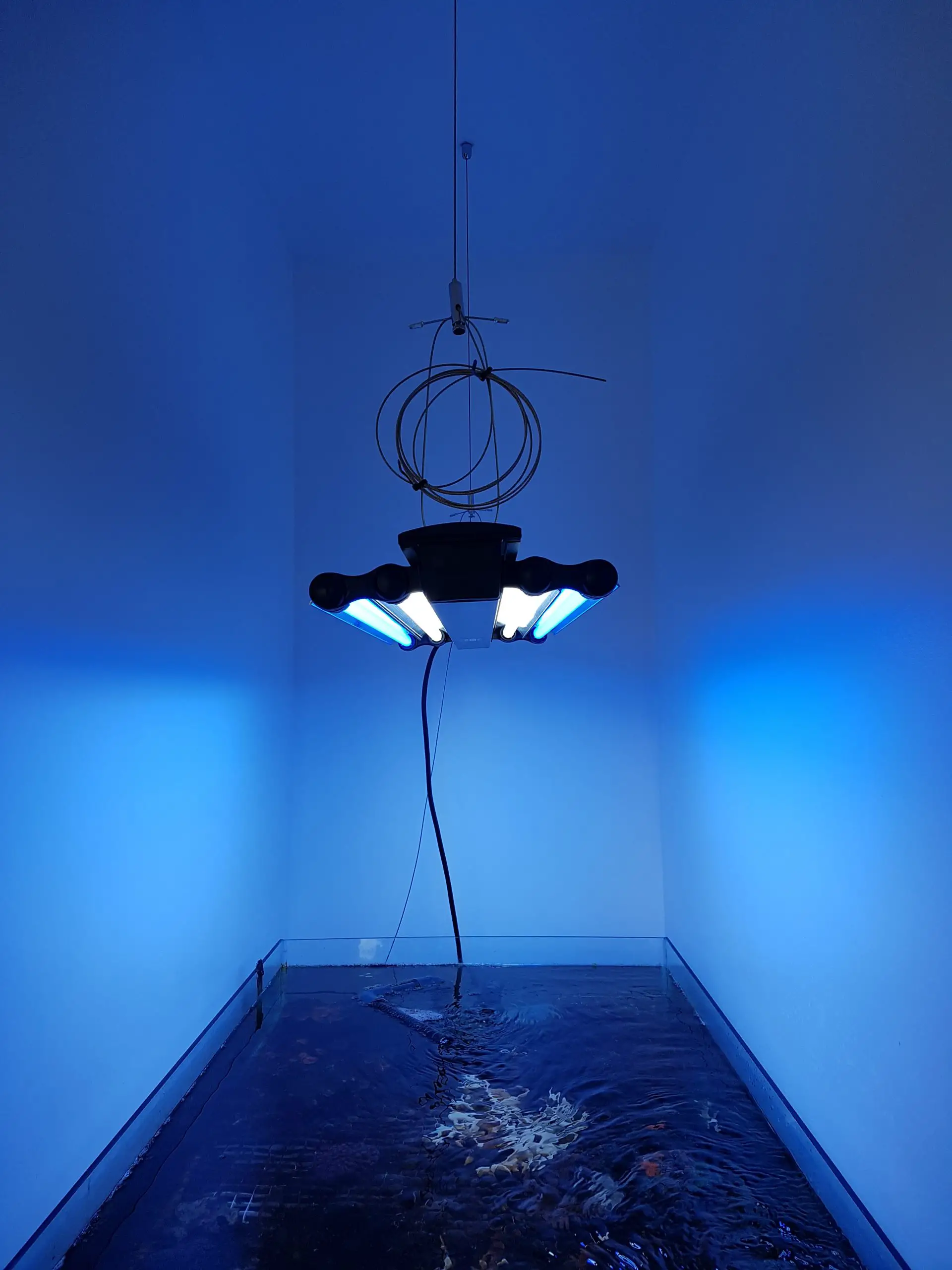 aquarium diy hanging light