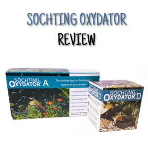 Soching Oxydator A D Review