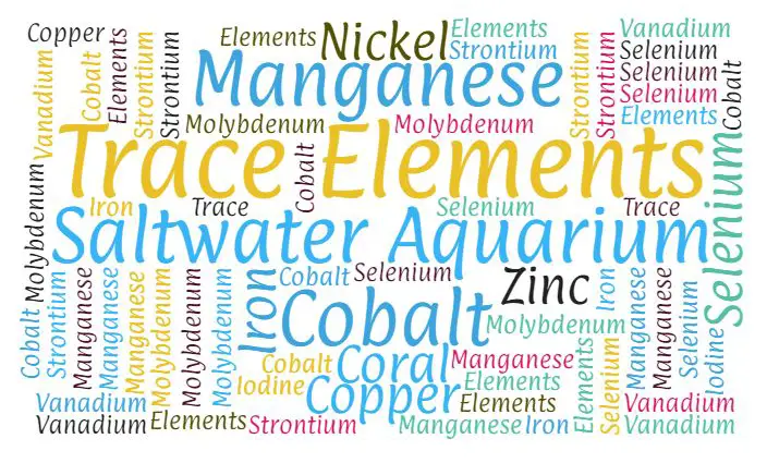 what trace elements do corals need