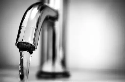 RODI water vs tap water