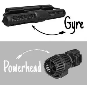 difference between powerhead and gyre