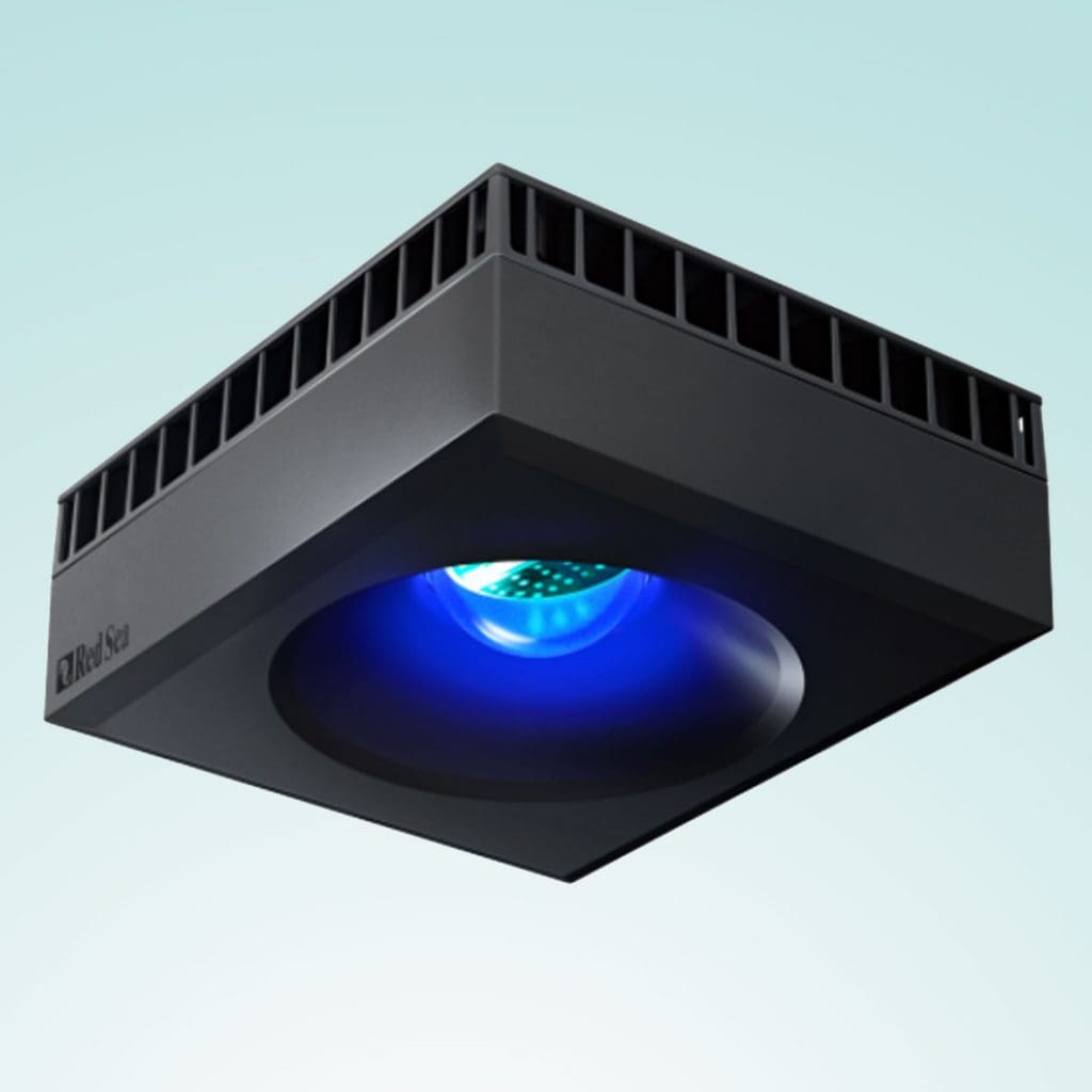 Lighting for saltwater aquariums