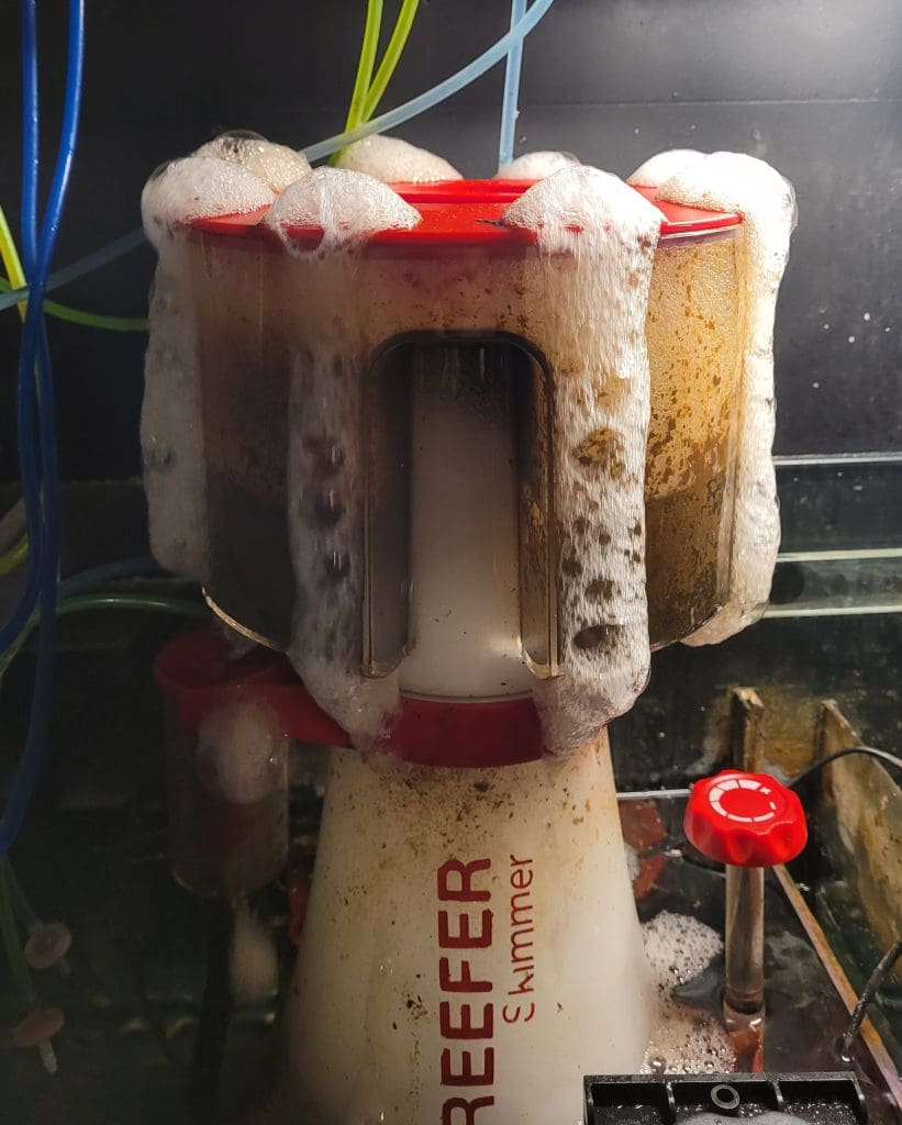 how to stop a skimmer from overflowing